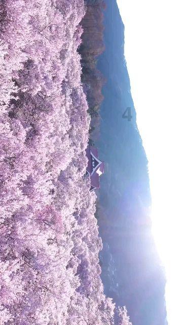 掌握新知,加入用威胁是方式把自己的钱要回来算犯法吗?知识星球!